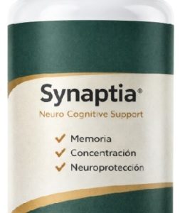 memoria, funcion cognitiva
